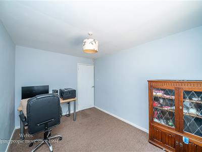 Picture 20